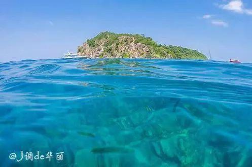 单亲家庭的孩子不想结婚怎么办？游戏画面